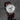 MASTER CONTROL GEOGRAPHIC SILVER DIAL (WATCH ONLY)